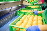 Las compras de Mercadona a proveedores de la Región de Murcia superaron los 1.820 millones de euros en 2024