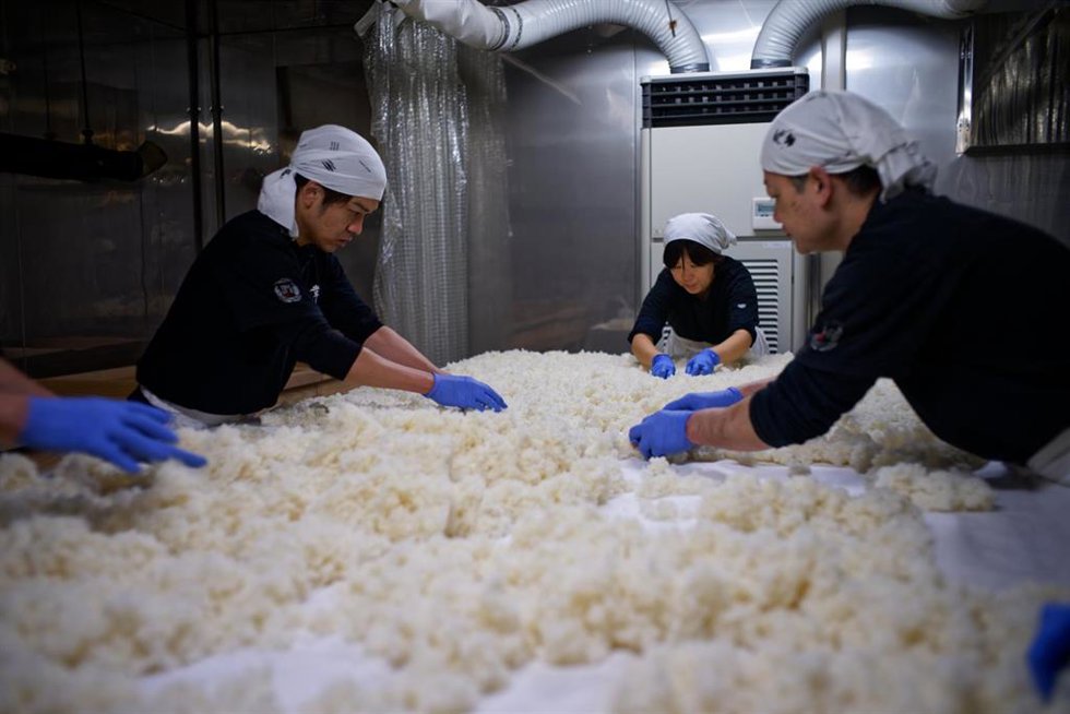 Archivo - Trabajadores de una fábrica de arroz.