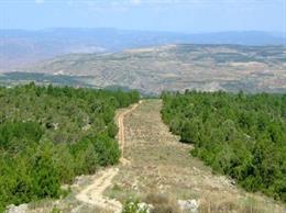 La Generalitat i la Diputació de València col·laboren en la millora de camins d'interès territorial que coincideixen amb el traçat de vies pecuàries.