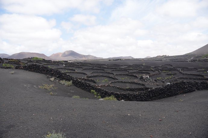 Agricultura en la tierra volcánica de Lanzarote