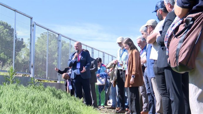 El CEO de Agrosemillas, Julio Laorden, visitando las parcelas experimentales de cubiertas vegetales de Green Series en las instalaciones de la empresa en El Peral.