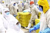 Foto: México.- COMUNICADO: Kekén impulsa la inclusión laboral en Yucatán con un programa que ya cumple cuatro años