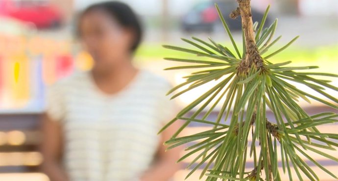 Una de cada cinco familias con hijos a cargo en la Comunitat vive en situación de pobreza pese a tener trabajo, según Save The Children