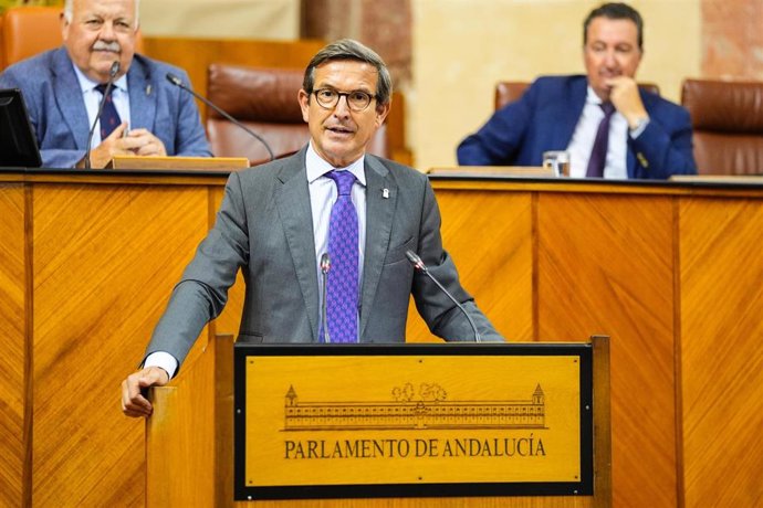 El consejero de Industria, Jorge Paradela, este miércoles en el Pleno del Parlamento.