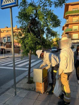 Los bomberos de la Diputación de Teruel aumentan en primavera la retirada de colmenas de abejas