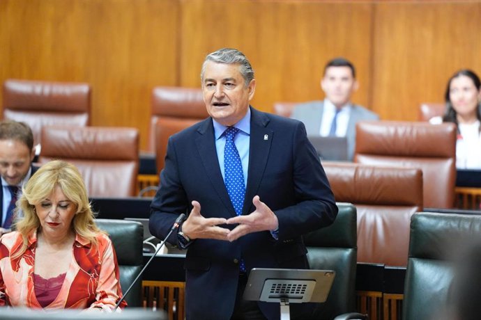 El consejero de la Presidencia, Interior, Diálogo Social y Simplificación Administrativa, Antonio Sanz, en el Pleno del Parlamento andaluz.