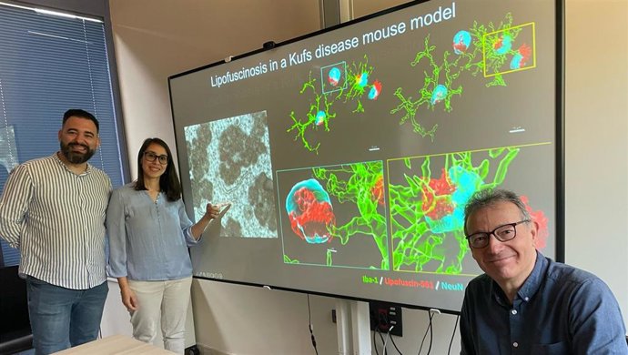 El IBiS desarrolla el primer ratón modelo de una grave enfermedad neurodegenerativa un siglo después del descubrimiento.