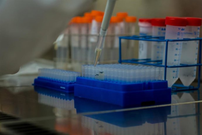 Archivo - Fisabio y la UJI buscan colaboración para investigar el síndrome de Smith-Lemli-Opitz