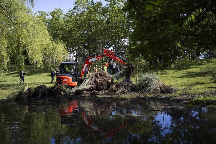 Personal del Ayuntamiento de Zizur Mayor retirando con maquinaria plumero de la Pampa de la balsa de Zizur.