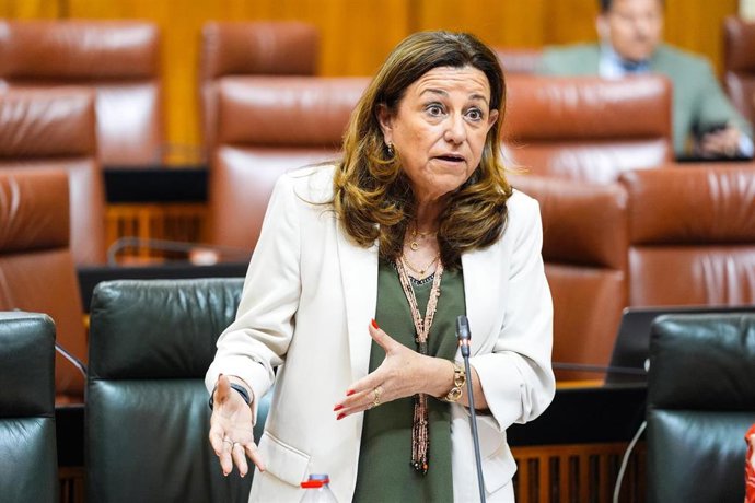 La consejera de Desarrollo Educativo y Formación Profesional, María del Carmen Castillo, en el Parlamento.
