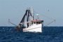 CCOO desconvoca la huelga de inspectores de pesca marítima tras lograr un acuerdo 