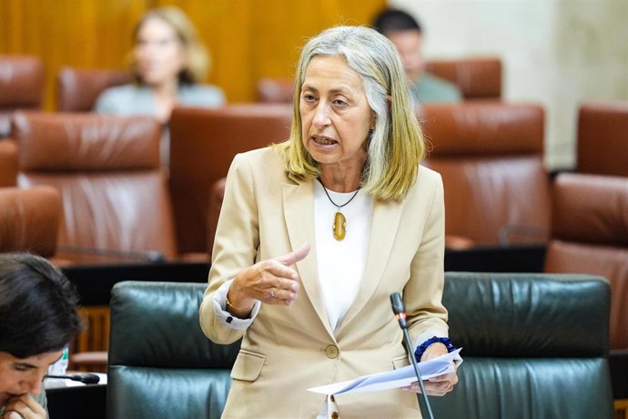 La consejera de Salud y Consumo de la Junta de Andalucía, Rocío Hernández,  en el Parlamento de Andalucía.