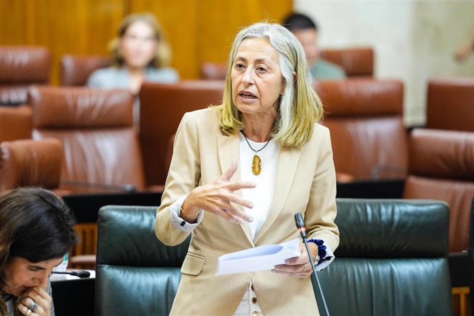 La consejera de Salud y Consumo de la Junta de Andalucía, Rocío Hernández,  en el Parlamento andaluz.