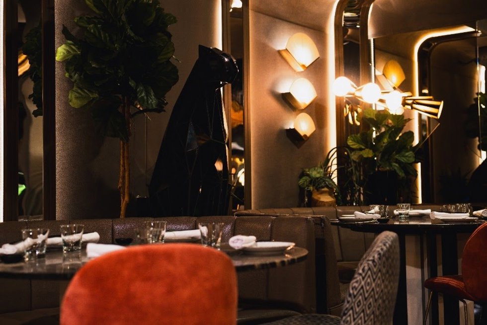 Panthera Madrid ofrece una experiencia 360 de gastronomía y ocio nocturno