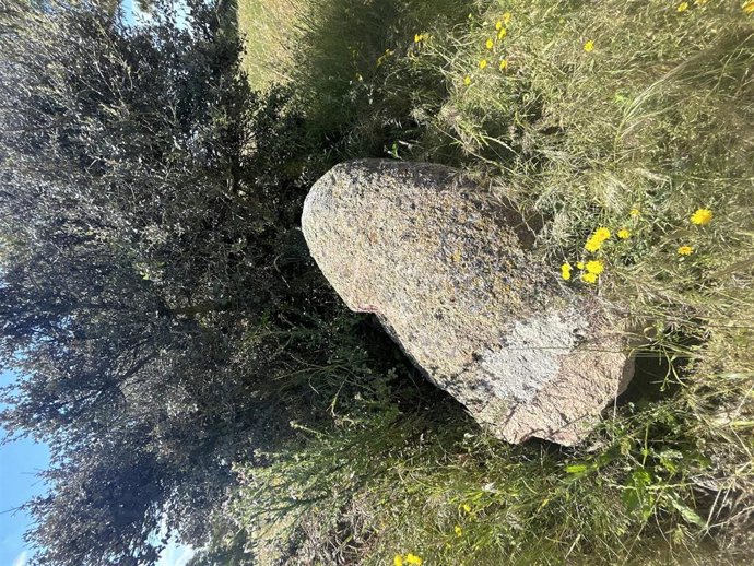 El menhir de Gamonal.