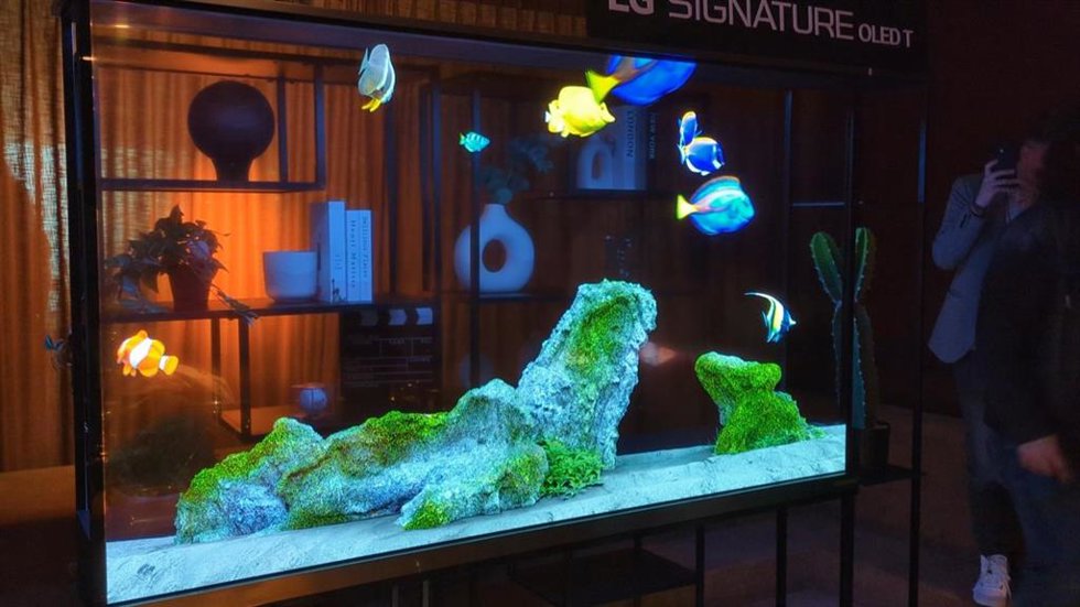 Signature OLED T