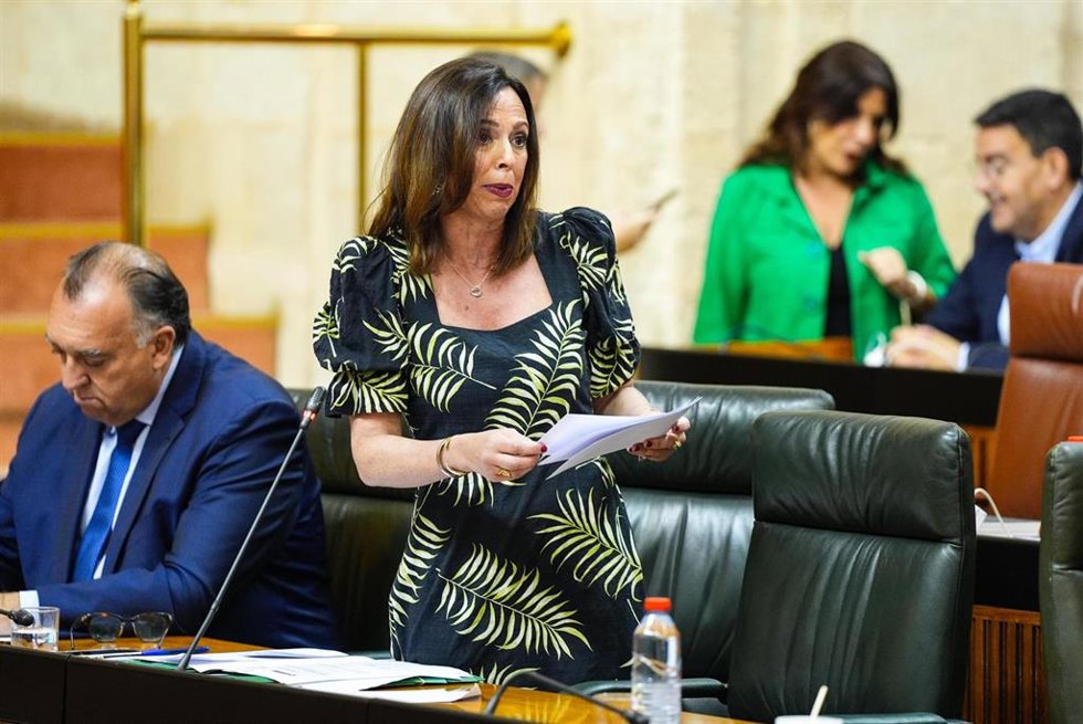 La consejera de Fomento, Articulación del Territorio y Vivienda, Rocío Díaz, en el Pleno del Parlamento.