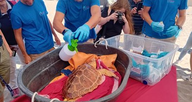 Es Andalucía - Málaga