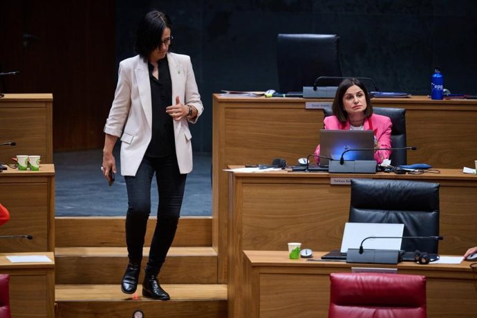 Imagen del pleno del Parlamento de Navarra