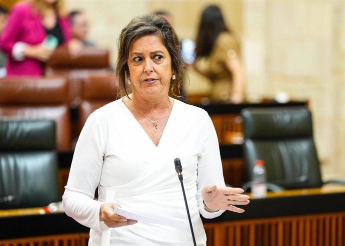 La consejera de Sostenibilidad y Medio Ambiente, Catalina García, en el Pleno del Parlamento de Andalucía.
