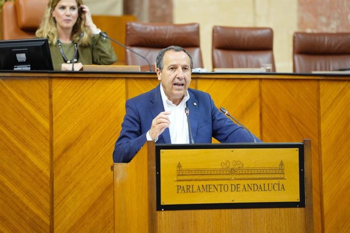 El diputado del PSOE-A José Luis Ruiz Espejo interviene en el Pleno del Parlamento andaluz.