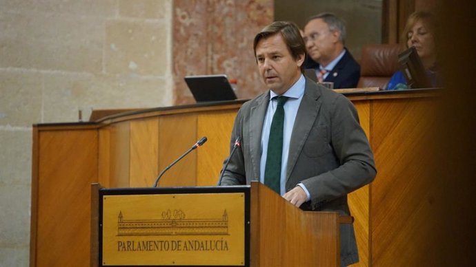 El secretario general del PP-A y diputado por Córdoba, Antonio Repullo, este jueves en el Pleno en la defensa de la PNL.