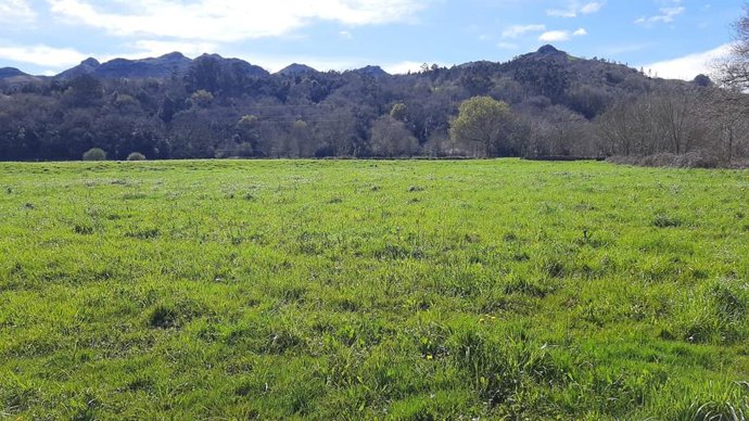 Archivo - Tiempo soleado, despejado. 