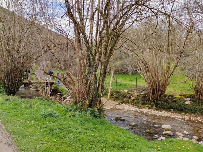Archivo - Ruta de los Molinos en Nava (Asturias).
