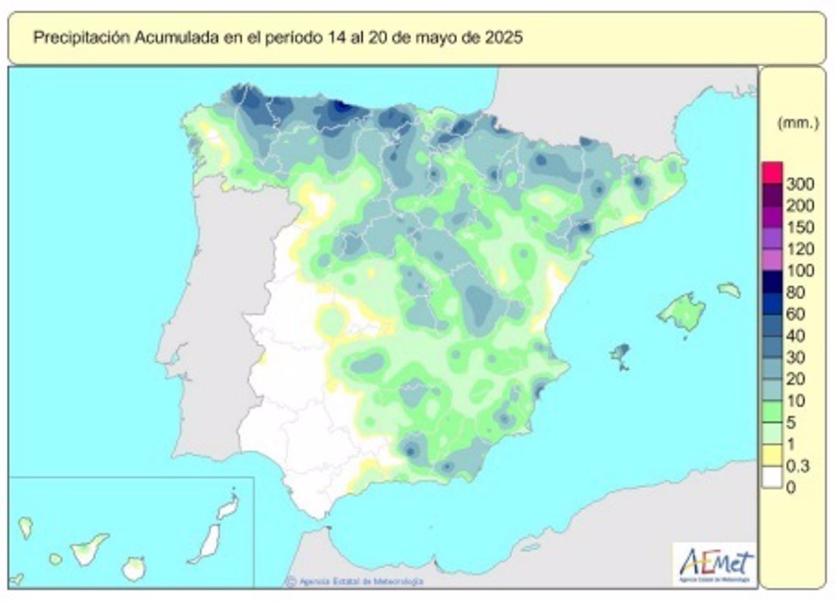Las lluvias acumuladas en este año hidrológico ascienden a 597 l/m2, un 19% más que el valor normal