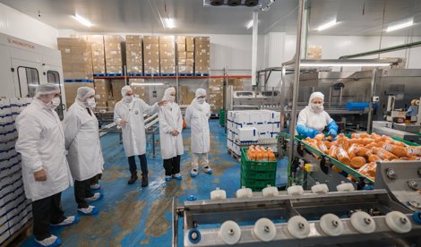 Es Andalucía - Granada