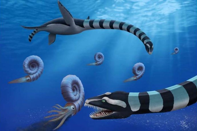 Dois indivíduos de Traskasaura sandrae caçam o amonita Pachydiscus no Pacífico Norte durante o Cretáceo Superior.