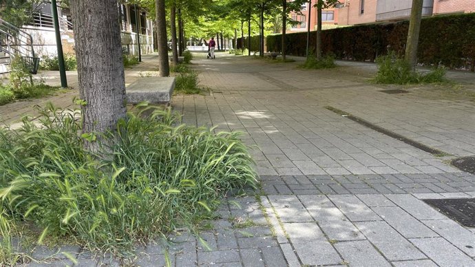 VTLP pedirá al Ayuntamiento que aclare si volverá a usar herbicidas tóxicos en parques y zonas verdes
