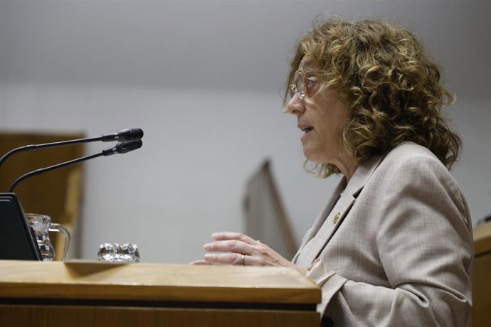 La consejera de Movilidad Sostenible, Susana García