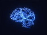 Foto: La Sociedad Española de Neurología Pediátrica reclama una atención especializada para los niños con epilepsia