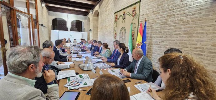 Comité Asesor provincial del dispositivo especial 'Caminos de Sevilla'.