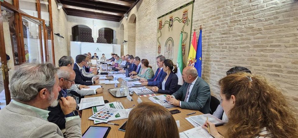 Comité Asesor provincial del dispositivo especial 'Caminos de Sevilla'.