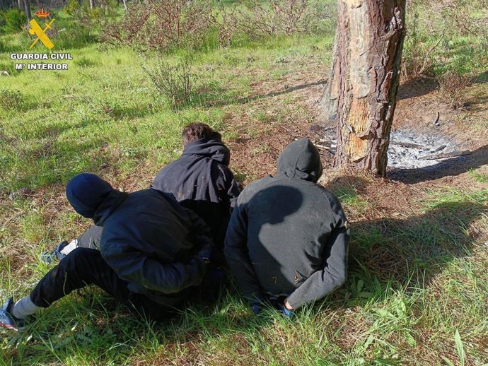 Cuatro detenidos por el robo de 640 kilos de cable telefónico en Las Navas (Ávila).