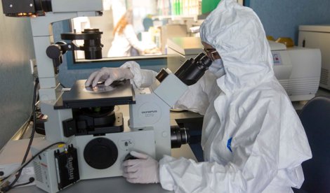 Investigación