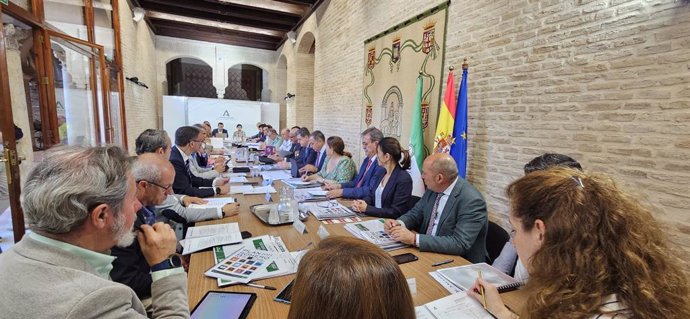 Comité Asesor provincial del dispositivo especial 'Caminos de Sevilla'.