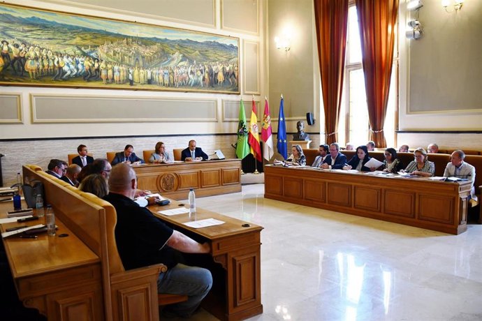 Pleno en la Diputación.