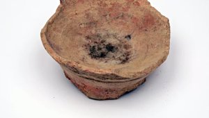 Ruinas y Fósiles
