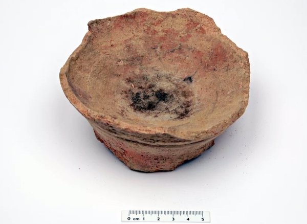 Ciencia.-Los primeros árabes usaban plantas psicoactivas hace 2.700 años