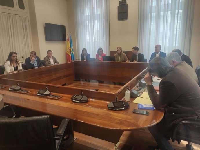 Comisión de investigación parlamentaria del accidente de Cerredo