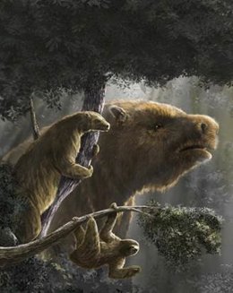 En la parte inferior, Bradypus tridactylus; a la izquierda, Hapalops elongatus; al fondo, Megatherium americanum.
