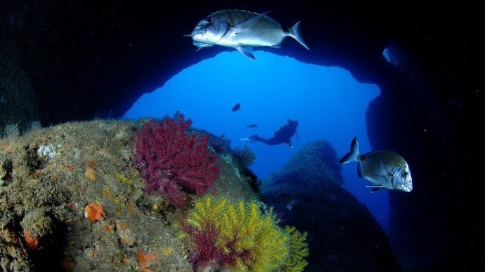 El fondo marino de las islas Medes