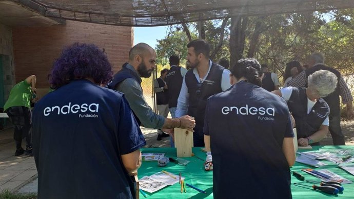 Voluntarios de Endesa construyen cajas nido para la conservación de murciélagos en la Sierra de Aracenay Picos de Aroche.