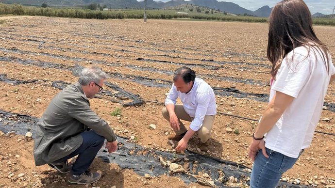 El presidente del Grupo Parlamentario Vox en las Cortes de Castilla-La Mancha, David Moreno.