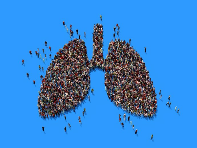 Archivo - Pulmones.