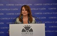 PSCyL ve "insuficiente" la dimisión del Letrado Mayor de las Cortes y apunta a Pollán: "es el responsable último"