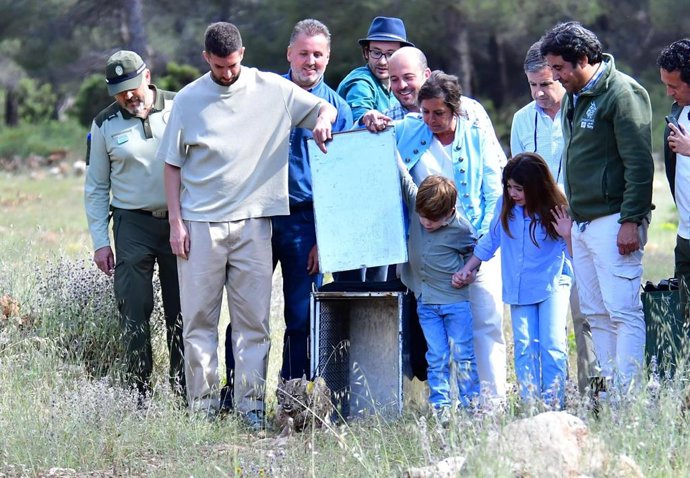 Suelta de los dos nuevos linces ibéricos en Sierra Arana.